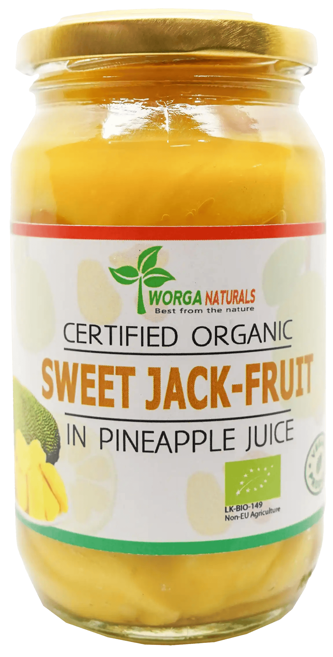 Organic Sweet Jackfruit Chunks in Pineapple Juice